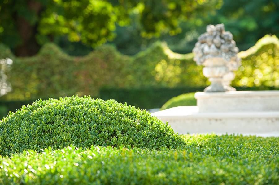 Jardin du manoir des Basses Rivières