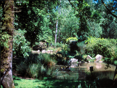 PARC ANIMALIER ET BOTANIQUE DE BRANFÉRÉ