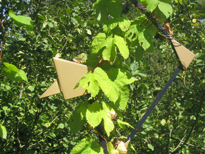 JARDIN DU CHAMP CLOS