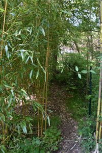 JARDIN DU BOIS FLEURI