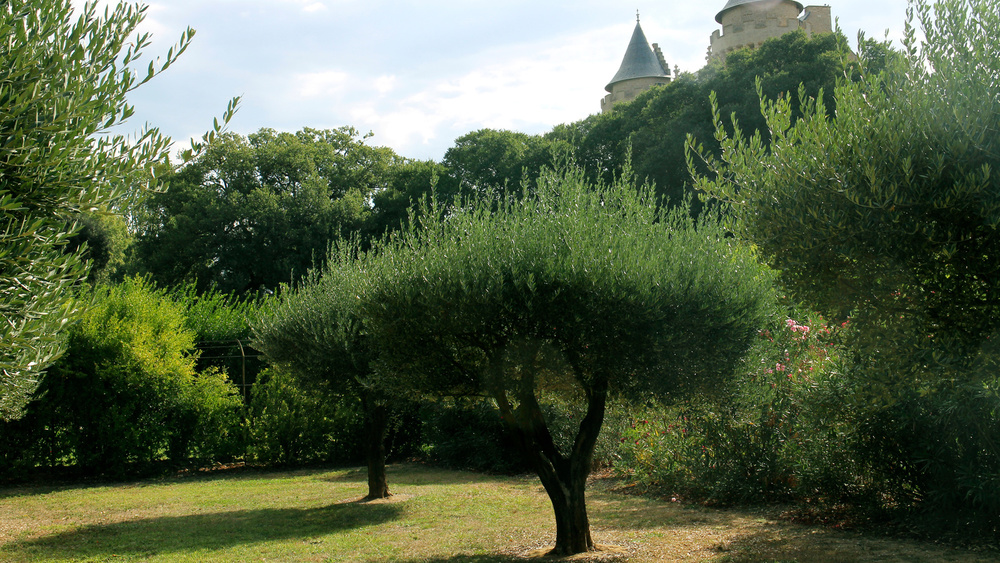 CHÂTEAU DE MARGON