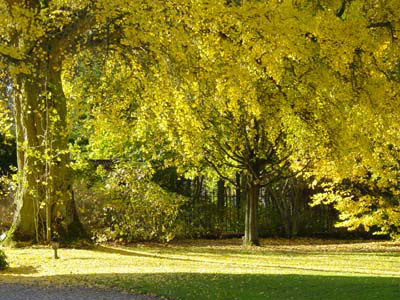 JARDIN FLORAL DU CHÂTEAU DE DIGEON