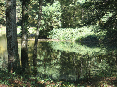 PARC DU CHÂTEAU DE PIERRE-DE-BRESSE