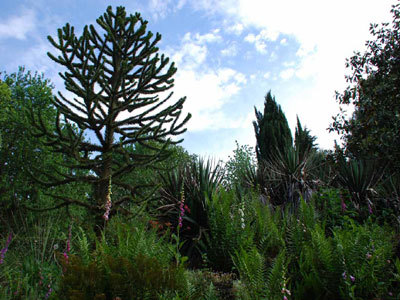 Jardins Martine et Gilles ROZE