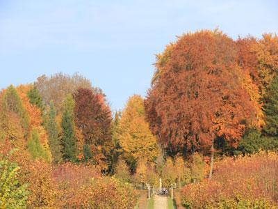 JARDIN DE SILIERE