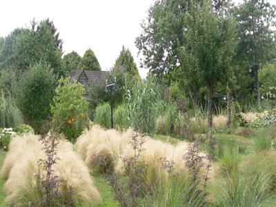 JARDIN PRIVE DES BAMBOUS