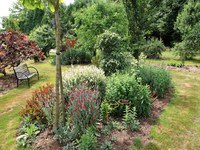 Le jardin botanique d'Alkinoos