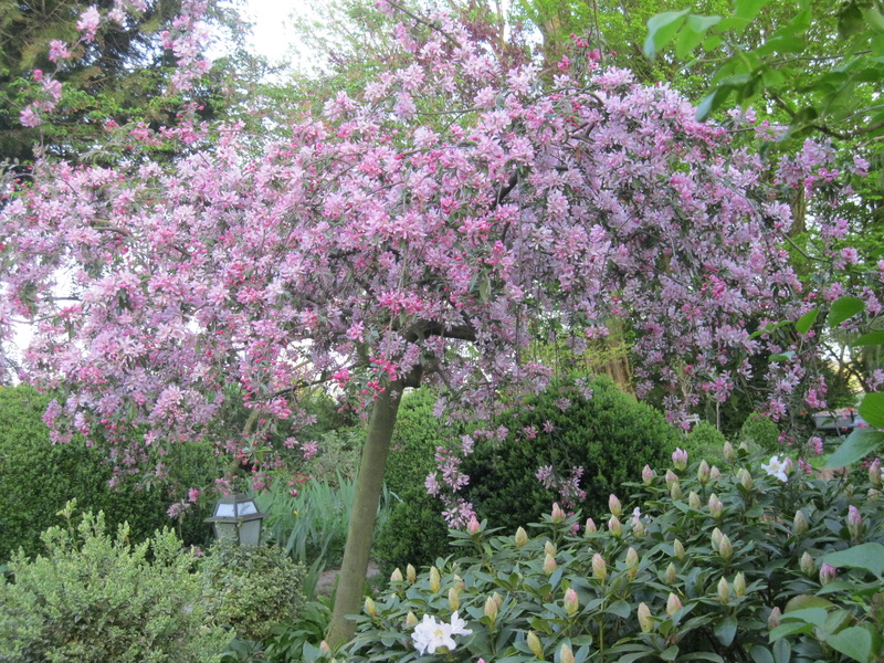 JARDIN SOUS LES CÔTES