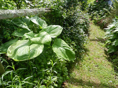 LE JARDIN DE LA PLAGE VERTE