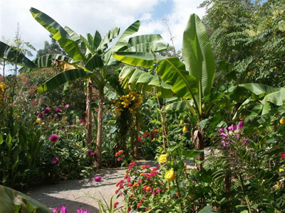 TROPICAL PARC