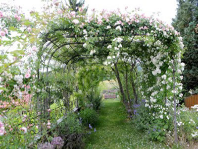 Le Nouveau Jardin de Bernard