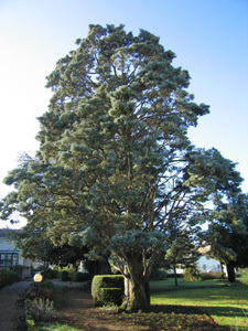 JARDIN DE LA SOCIÉTÉ D'HORTICULTURE DE NIORT