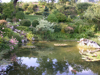 JARDIN ZEN D'ERIK BORJA