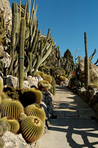 JARDIN EXOTIQUE DE MONACO