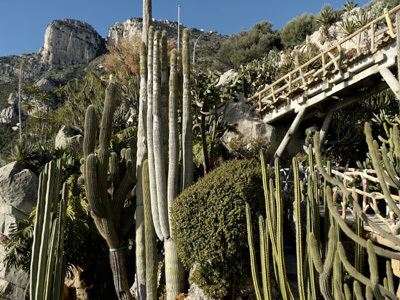 JARDIN EXOTIQUE DE MONACO