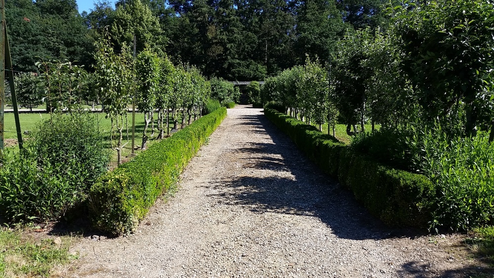 PARC ET JARDINS DU CHÂTEAU DE CRAON