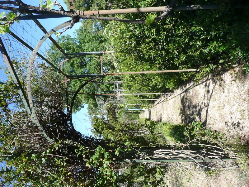 Jardin botanique de la Font de Bezombes