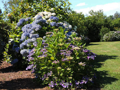 Les Jardins de Treuscoat