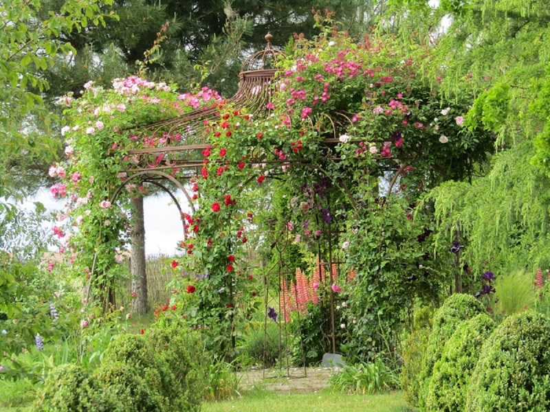 LE JARDIN DE MIREILLE EN TOURAINE ANGEVINE