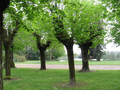 PARC DU CHÂTEAU DE LA COSSE