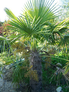 JARDIN EXOTIQUE ET ANIMALIER TROPICALAND