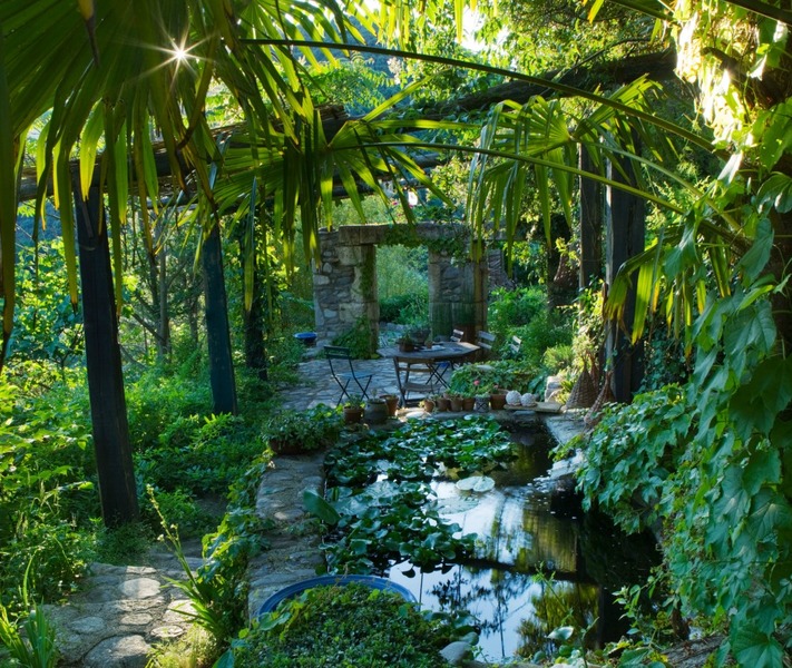  JARDIN  DES SAMBUCS  Comit  des Parcs et Jardins  de France