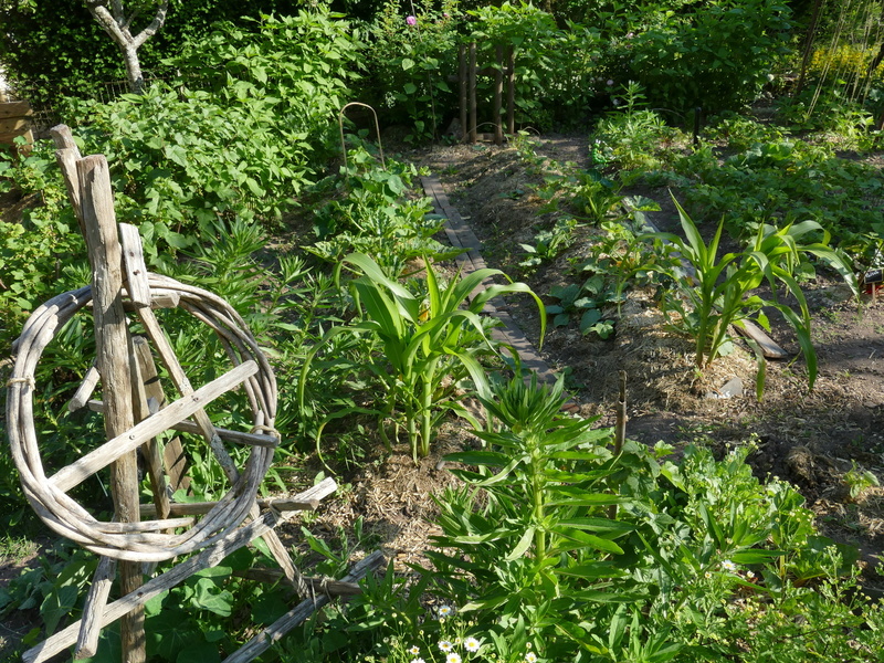 JARDIN DE LA VILLA ROSA