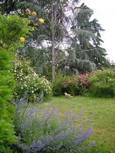 Au jardin de Montfleuri