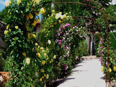 LES JARDINS DE BROGIEUX