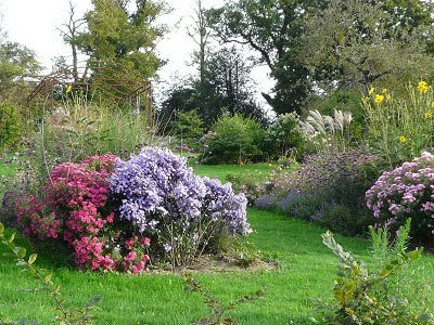 LE JARDIN DES PLANTES