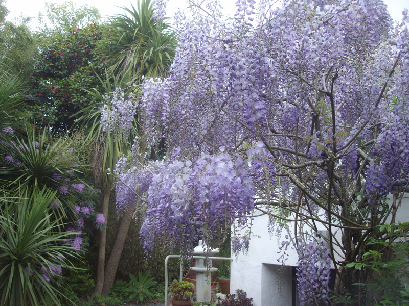 Un Jardin à Landrévarzec