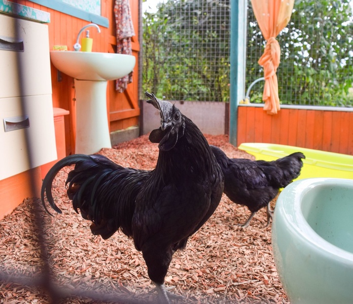LES JARDINS DE BROCÉLIANDE