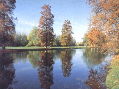 PARC ET ROSERAIE DU CHÂTEAU DE TROISSEREUX