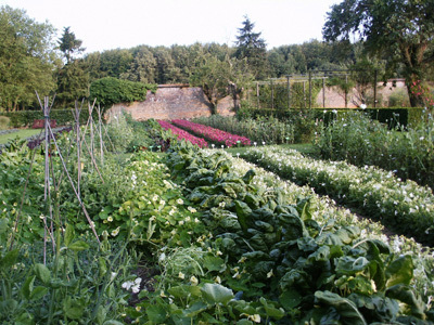 JARDIN POTAGER ARC EN CIEL