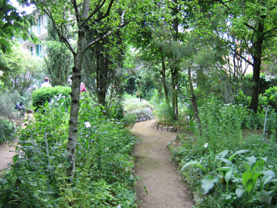 JARDIN BOTANIQUE DE SANNOIS DES PLANTES MÉDICINALES