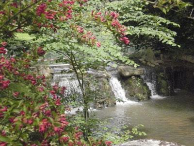 Les Jardins de la Lys