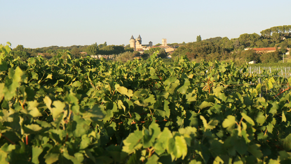 CHÂTEAU DE MARGON