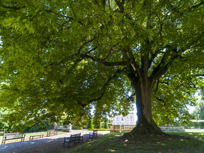 PARC ET JARDINS DU CHATEAU DE BOUGES