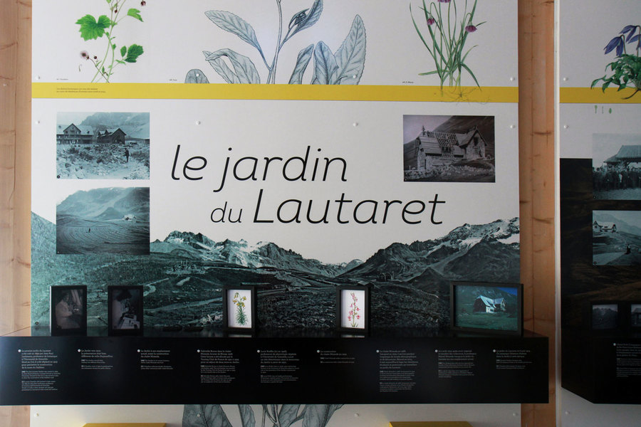 Jardin du Lautaret