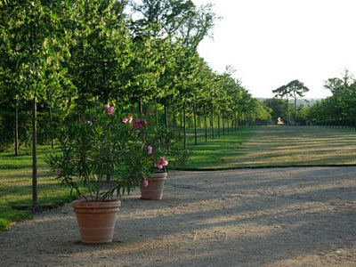 PARC ET JARDINS DU CHÂTEAU D'HAUTERIVE