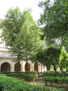 JARDIN DU PALAIS SAINT-PIERRE