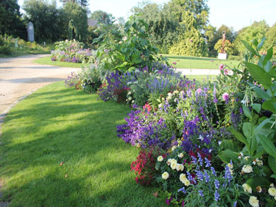 JARDIN DES PLANTES