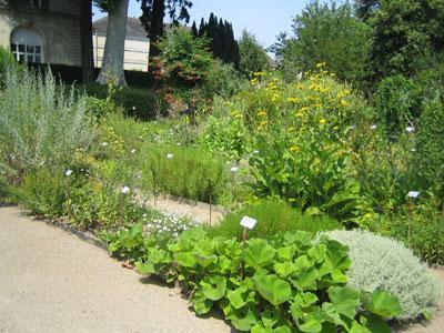 Jardin Botanique de la Faculté de Pharmacie