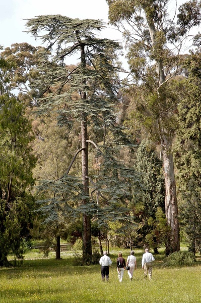 Jardin botanique de la Villa Thuret