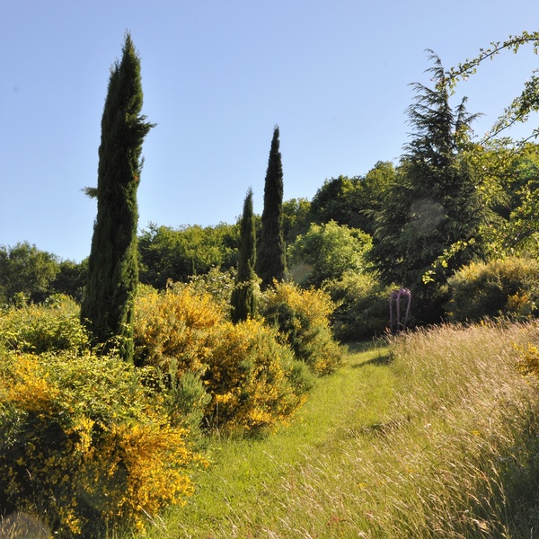 PARK DE RONCEVAL