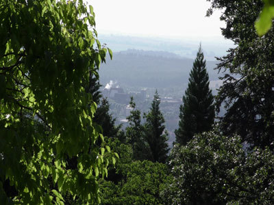 JARDIN BOTANIQUE DE SAVERNE