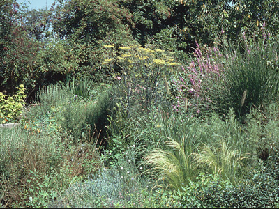 JARDINS CLOS DE LA FORGE