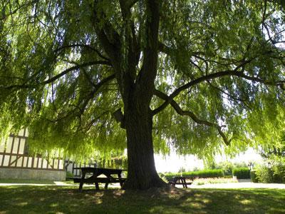 LES JARDINS PÉDAGOGIQUES DU MUSÉE DU PAYS DU DER