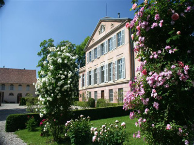 PARC DES RUINES DU CHÂTEAU DE KINTZHEIM