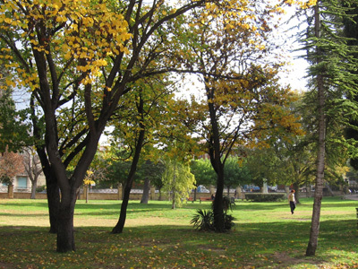 PARC JOURDAN